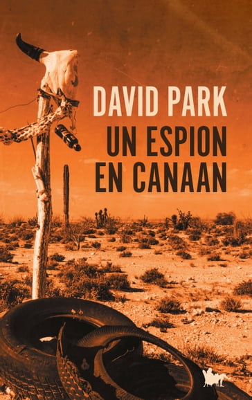 Un espion en Canaan - David Park