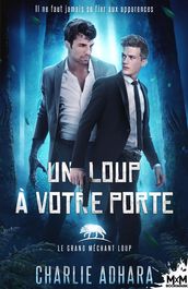 Un loup à votre porte