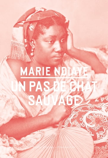 Un pas de chat sauvage - Marie NDiaye