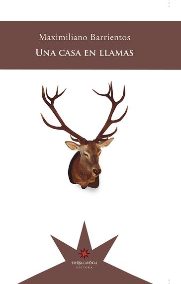 Una casa en llamas - Maximiliano Barrientos