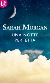 Una notte perfetta (eLit)