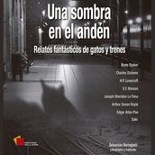 Una sombra en el andén