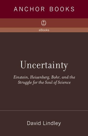 Uncertainty - David Lindley