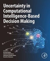 Uncertainty in Computational Intelligence-Based Decision Making