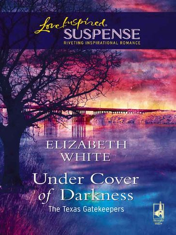 Under Cover of Darkness - Elizabeth White