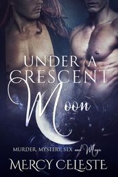 Under a Crescent Moon