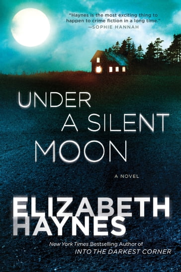 Under a Silent Moon - Elizabeth Haynes