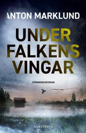 Under falkens vingar