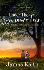 Under the Sycamore Tree