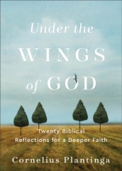 Under the Wings of God ¿ Twenty Biblical Reflections for a Deeper Faith