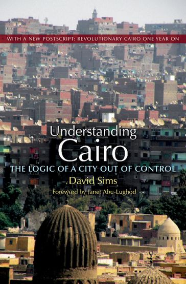 Understanding Cairo - David Sims