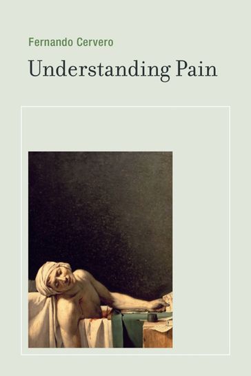 Understanding Pain - Fernando Cervero