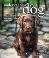 Understanding Your Dog