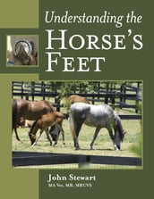 Understanding the Horse s Feet