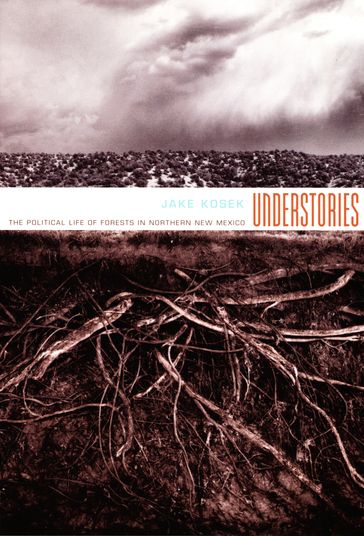 Understories - Jake Kosek