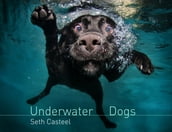 Underwater Dogs