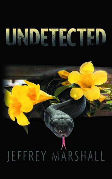 Undetected - Jeffrey Marshall