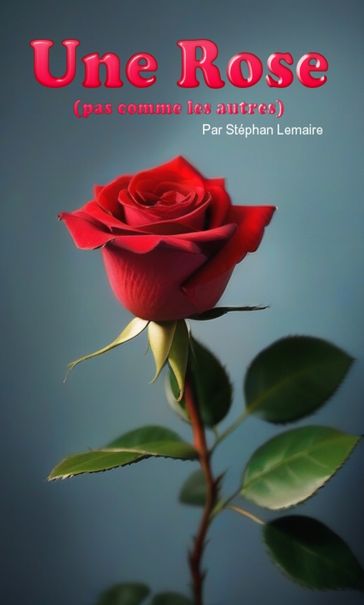 Une Rose - Stéphan Lemaire