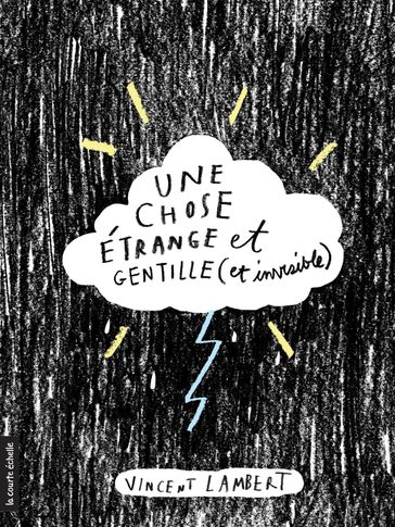 Une chose étrange et gentille (et invisible) - Vincent Lambert