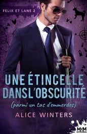 Une étincelle dans l obscurité (parmi un tas d emmerdes)