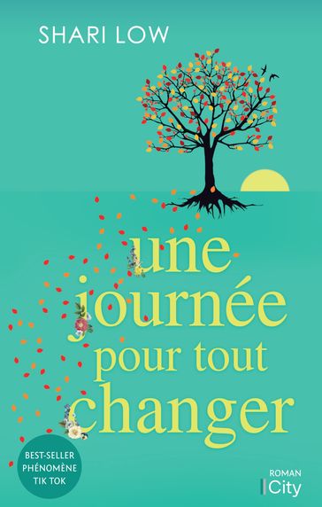 Une journée pour tout changer - Shari Low