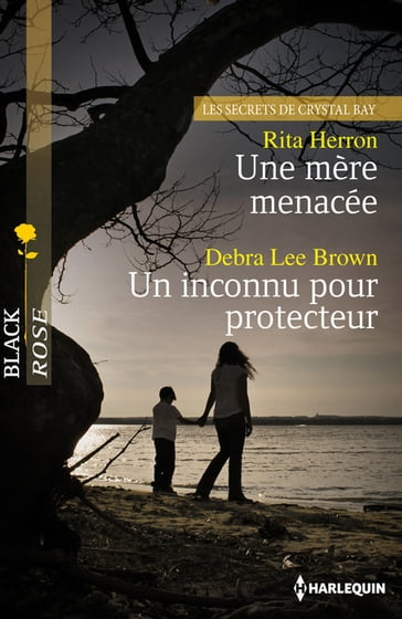 Une mère menacée - Un inconnu pour protecteur - Debra Lee Brown - Rita Herron