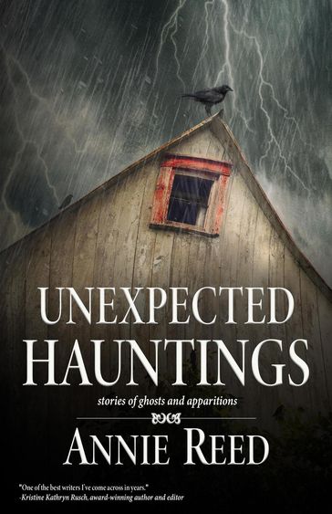 Unexpected Hauntings - Annie Reed