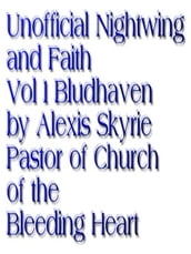 Unofficial Nightwing and Faith Volume 1 Bludhaven