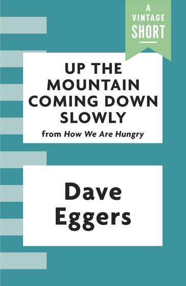 Up the Mountain Coming Down Slowly - Dave Eggers