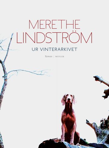 Ur vinterarkivet - Merethe Lindstrom