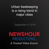 Urban beekeeping is a rising trend in major cities