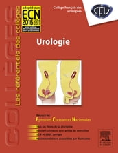 Urologie