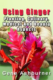 Using Ginger: Planting, Culinary, Medical And Beauty Aspects