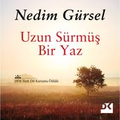 Uzun Sürmü Bir Yaz