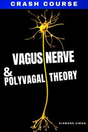 Vagus Nerve And The Polyvagal Theory