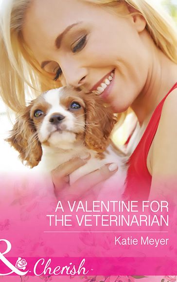A Valentine For The Veterinarian (Mills & Boon Cherish) (Paradise Animal Clinic, Book 2) - Katie Meyer