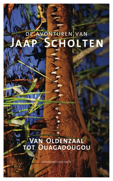 Van Oldenzaal tot Ouaguadougou - Jaap Scholten