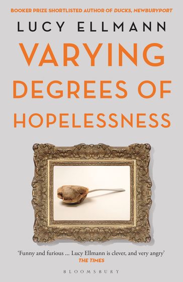 Varying Degrees of Hopelessness - Lucy Ellmann