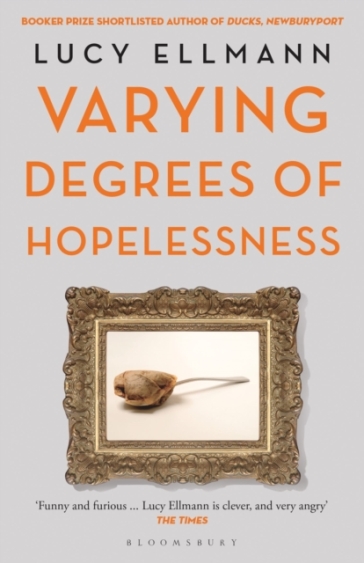 Varying Degrees of Hopelessness - Lucy Ellmann