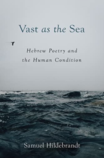Vast as the Sea - Samuel Hildebrandt
