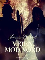 Vejen mod Nord