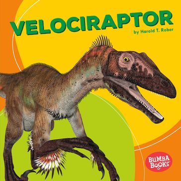 Velociraptor - Harold Rober