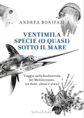 Ventimila specie (o quasi) sotto il mare