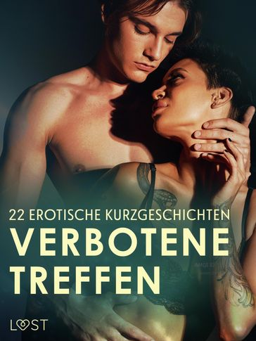 Verbotene Treffen: 22 erotische Kurzgeschichten - LUST authors
