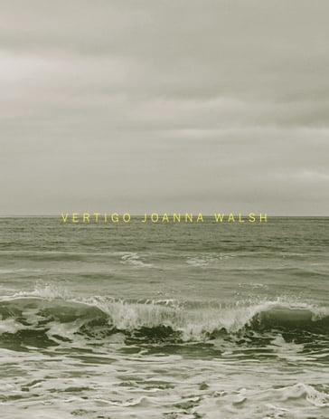 Vertigo - Joanna Walsh