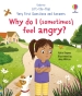 Very First Questions and Answers: Why do I (sometimes) feel angry?