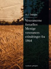 Veteranerne fortæller: Menige veteraners erindringer fra 1864