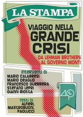 Viaggio nella grande crisi. Da Lehman Brothers al governo Monti