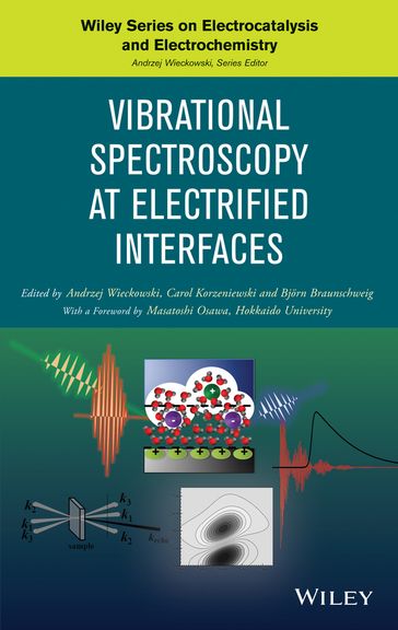 Vibrational Spectroscopy at Electrified Interfaces - Andrzej Wieckowski - Carol Korzeniewski - Bjorn Braunschweig