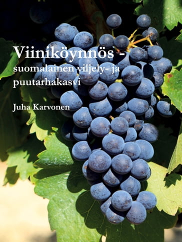 Viiniköynnös - suomalainen viljely- ja puutarhakasvi - Juha Karvonen